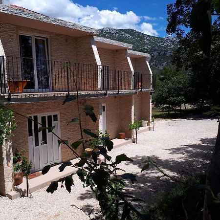 Amanda C Lägenhet Starigrad Paklenica Exteriör bild