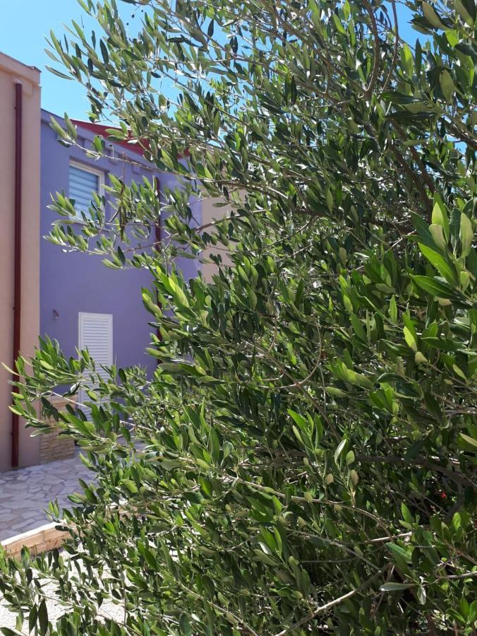 Amanda C Lägenhet Starigrad Paklenica Exteriör bild